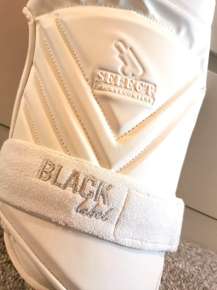 Select Thigh Pad Combo Set Select Cricket