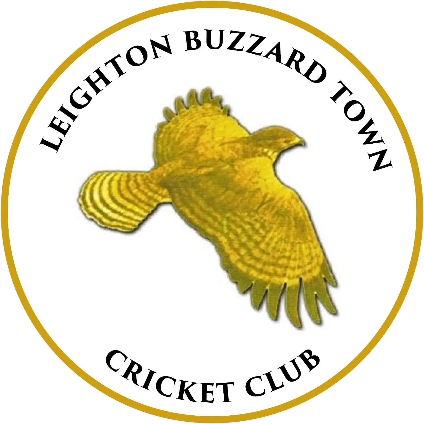 Leighton Buzzard Town Cricket Club crest
