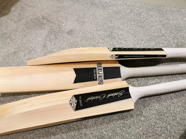 Select 2023 Paladin Cricket Bat-Select Cricket Store